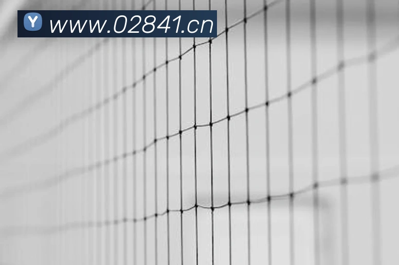 爱游戏官网app登录入口app平台生态图